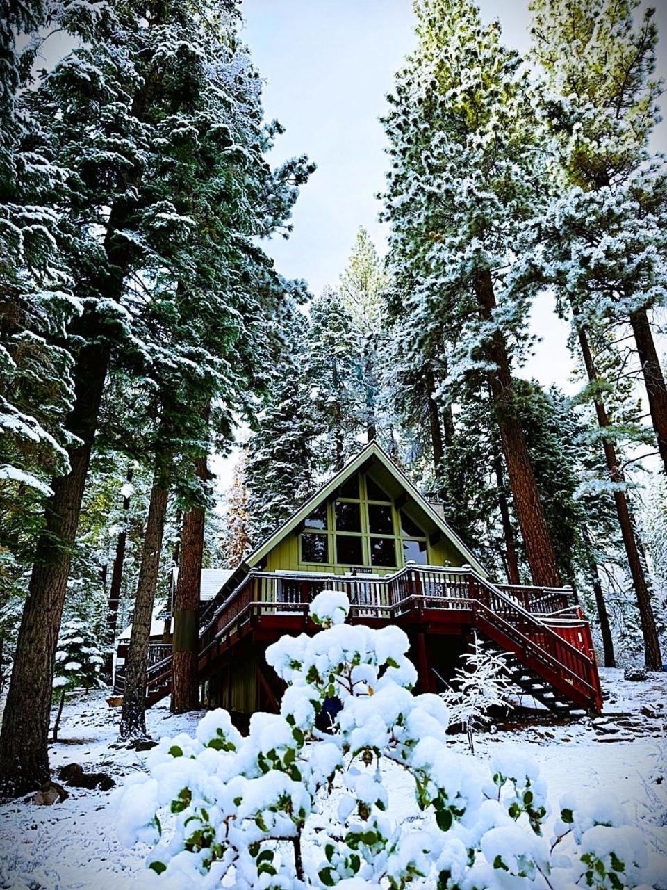 The Honey Bear Cabin Carnelian Bay Екстер'єр фото