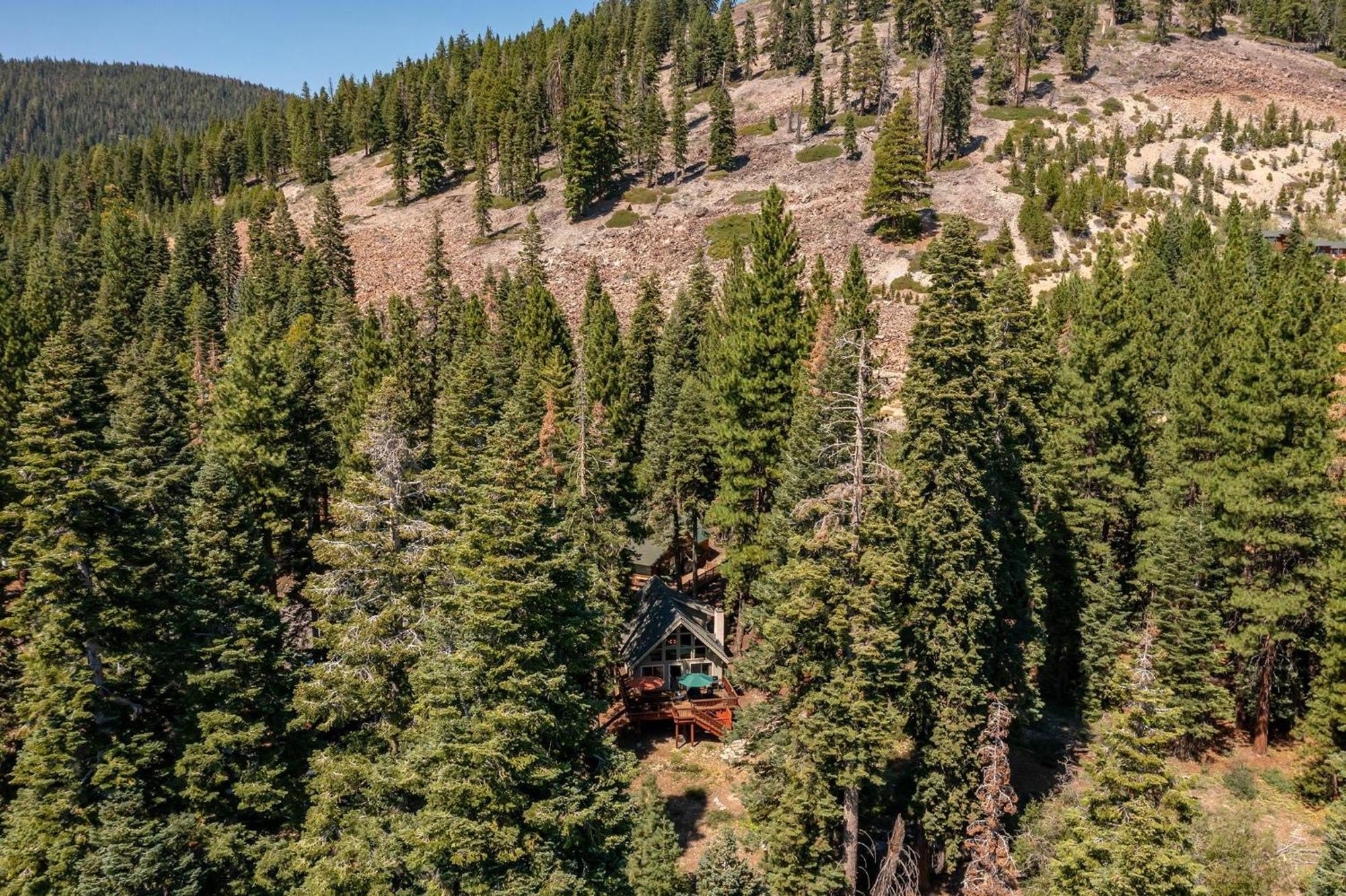 The Honey Bear Cabin Carnelian Bay Екстер'єр фото